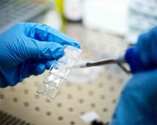 南京供卵助孕技术解析：试管配卵如何帮助不孕不育家庭实现生育梦想