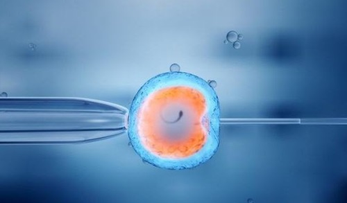 南京三代试管生男孩费用解析与性别选择明细指南