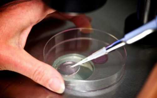 大龄供卵试管与借卵选性别：妇幼试管医生口碑排名指南